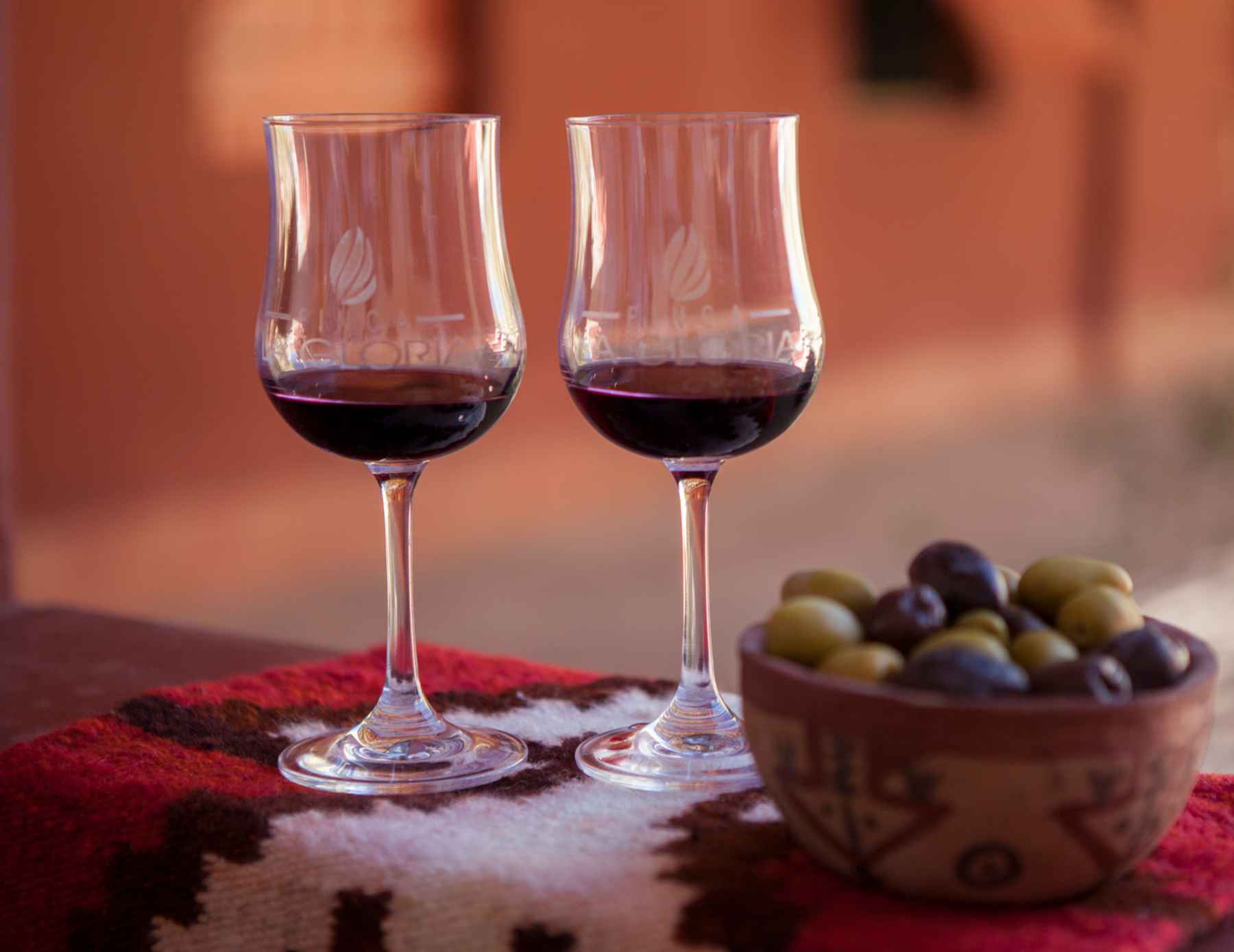 Vino de Vid